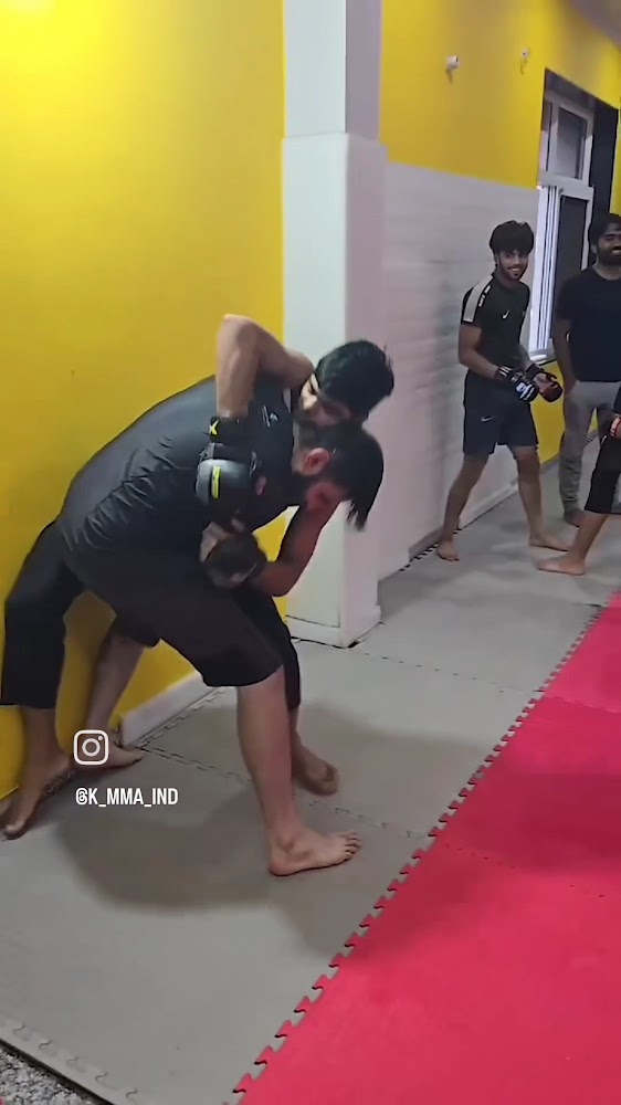 Brazilian Jiu-Jitsu at Krishna MMA